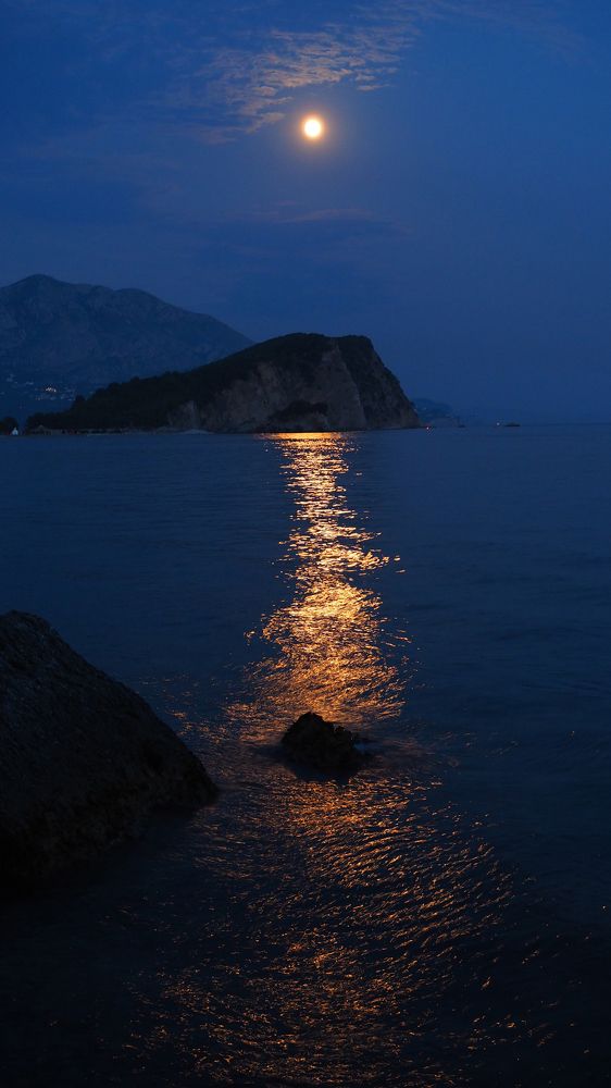 Photograph by Ирина Протченко