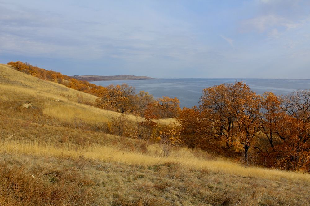 Photograph by Анна Зайченко