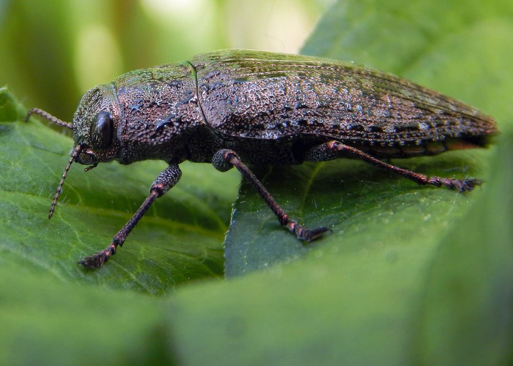 Photograph by Наталья Соколова