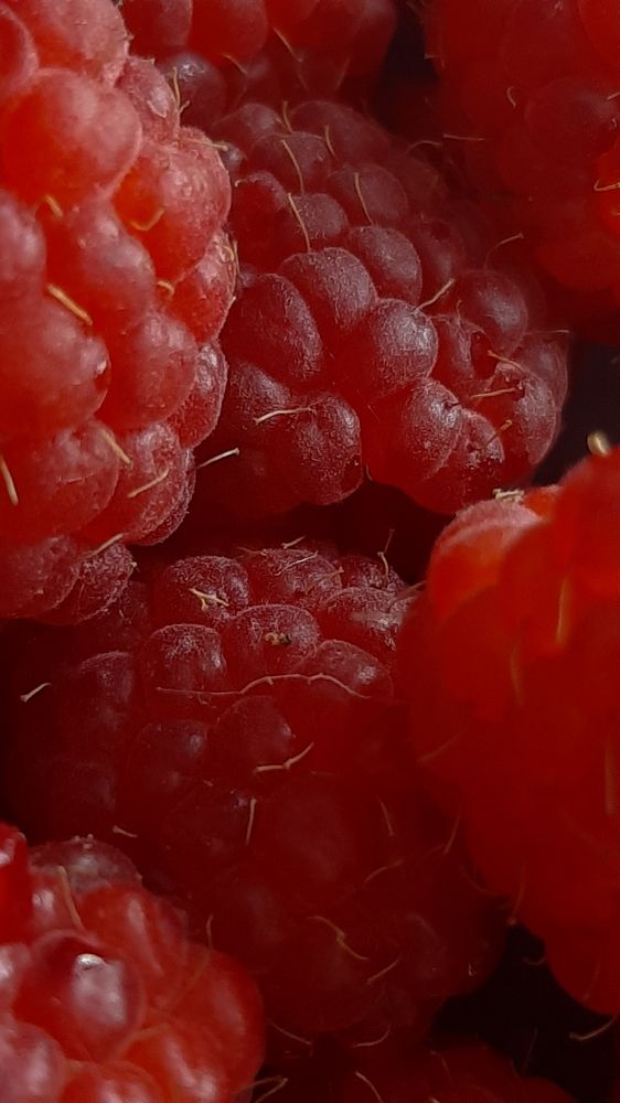 Photograph by Оксана Корепанова