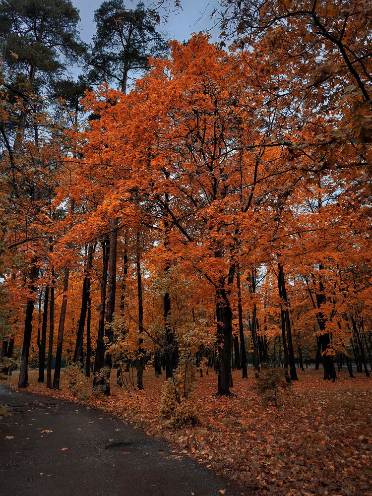 Photograph by Екатерина Слепнева