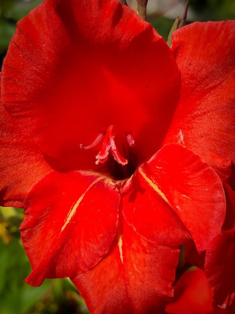 Photograph by Andrey Purtov