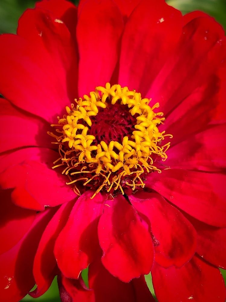 Photograph by Andrey Purtov