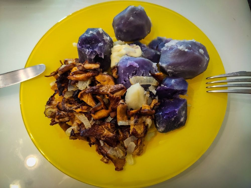 Photograph by Andrey Purtov