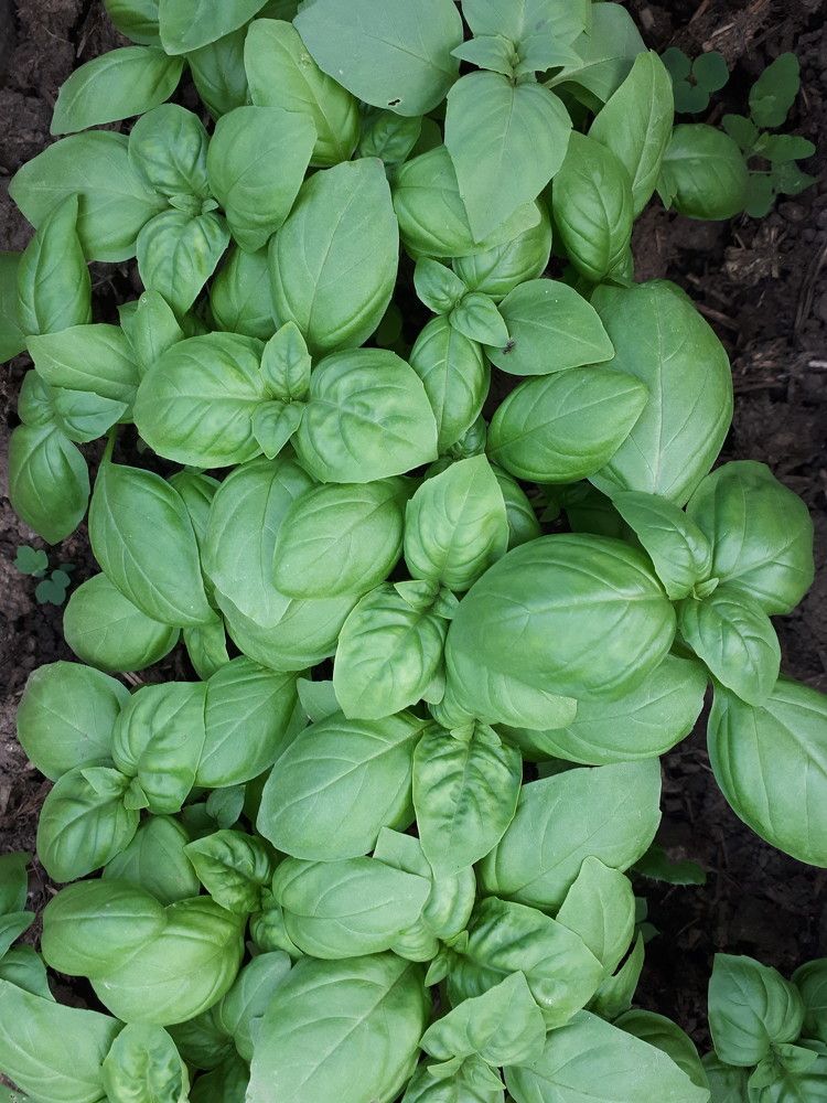 Photograph by Олеся Белецкая