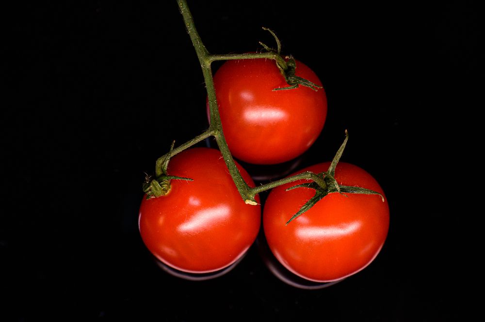 Фотография автора Григорьев Алексей