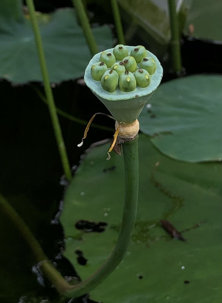 Photograph by Мария Бессмертная