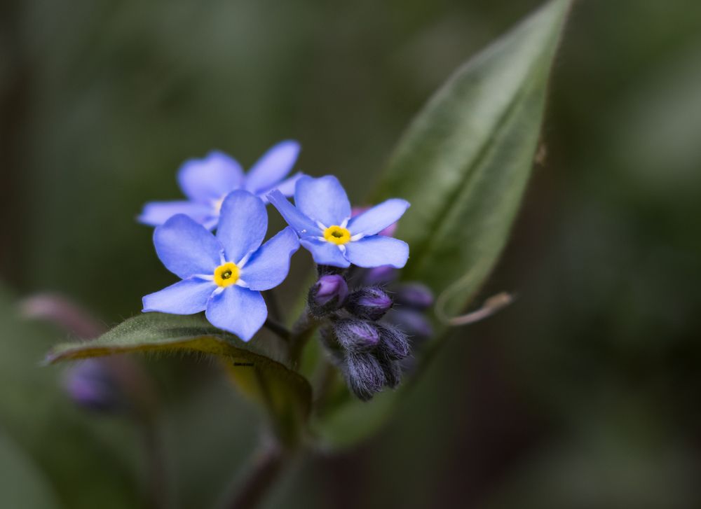 Photograph by Татьяна Михайлова