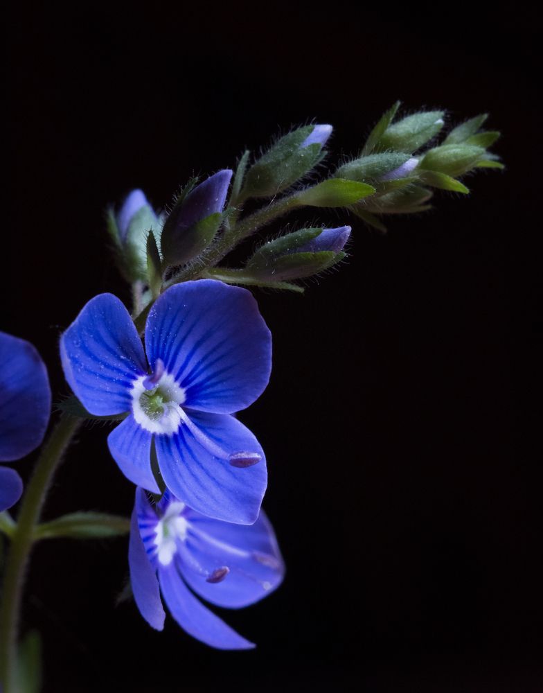 Photograph by Татьяна Михайлова