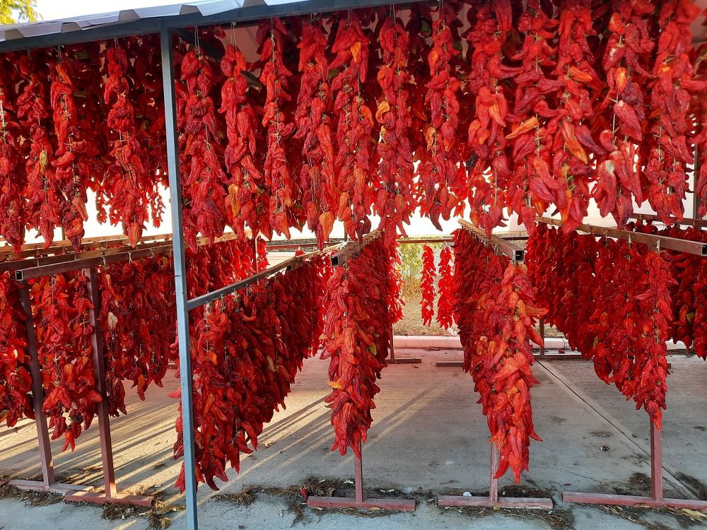 Photograph by Елена Симонова