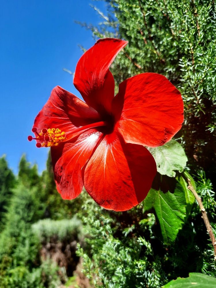 Photograph by Jelena Vasic