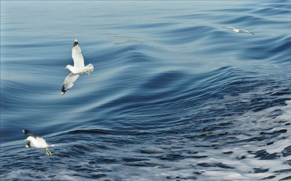 Photograph by Tatyana Markova