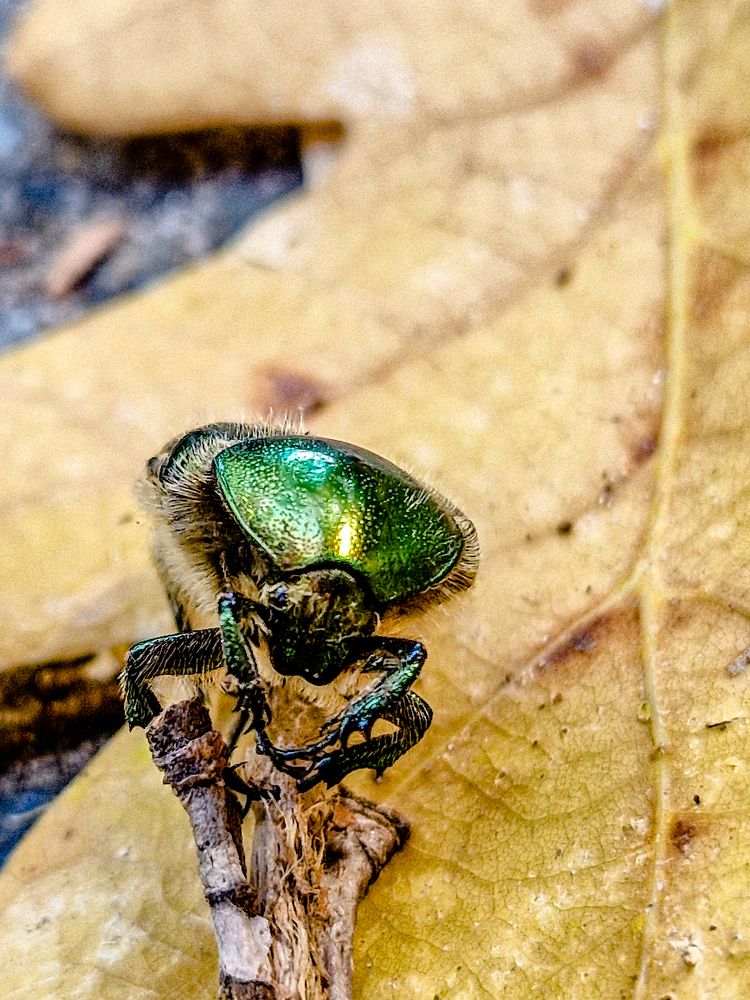 Photograph by Liudmila Kirillova