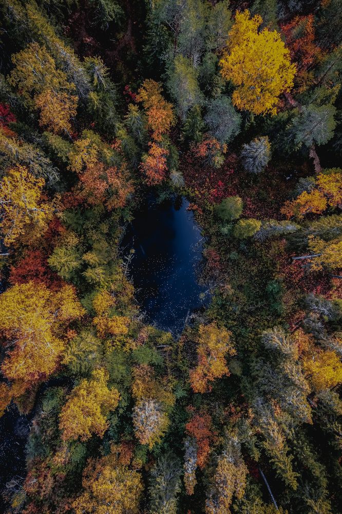 Photograph by Денис Гончаренко