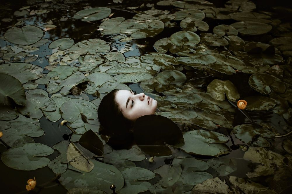 Photograph by Сергей Никифоров