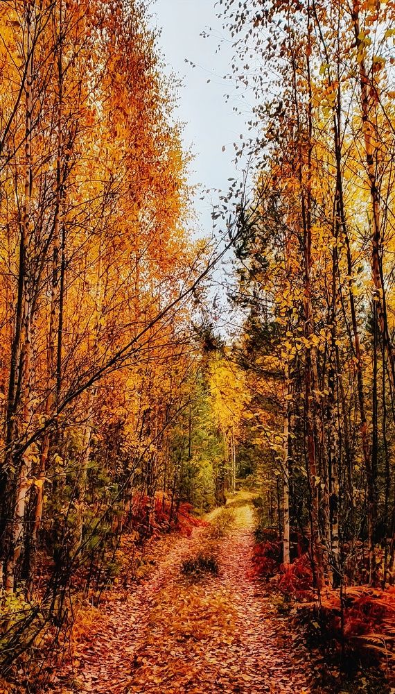 Photograph by Сергей Никифоров