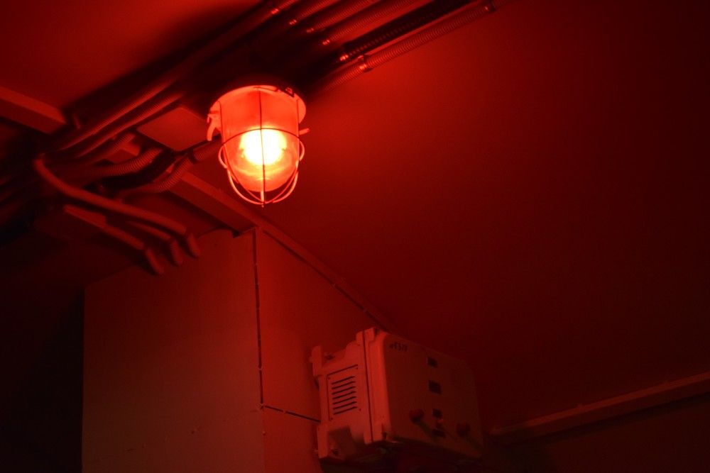 Photograph by Елена