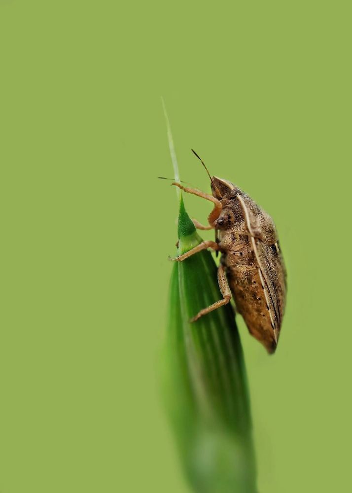 Фотография автора Mojtaba Gitinezhad