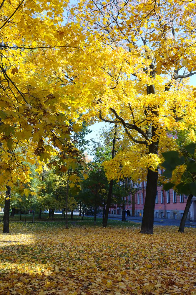 Photograph by Орехова Татьяна