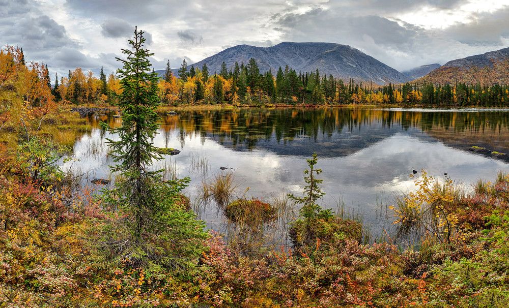 Photograph by Владимир Брагилевский