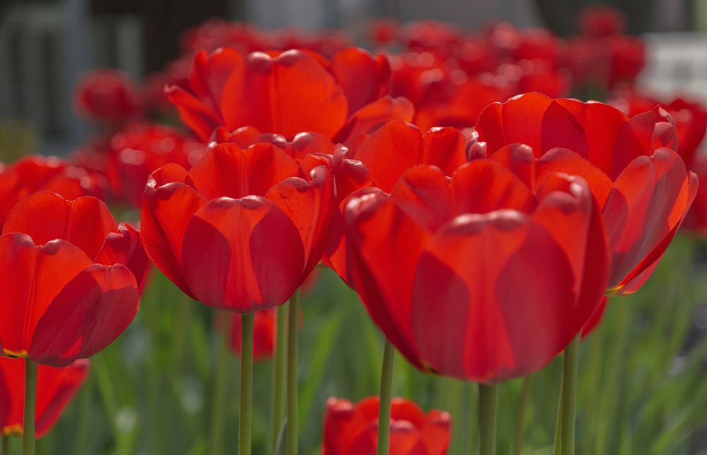 Photograph by Светлана Мельник