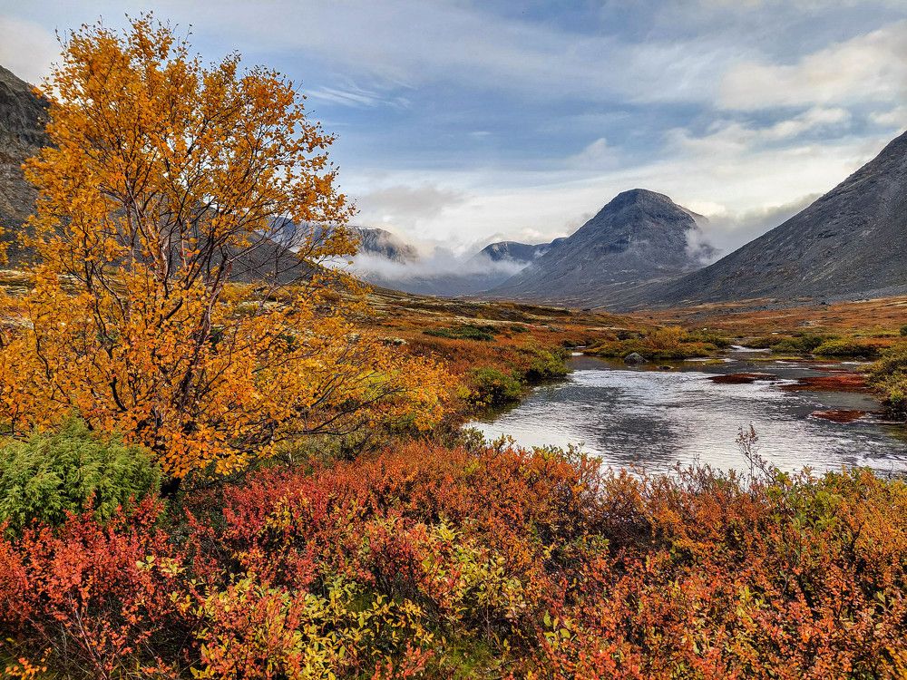 Photograph by Владимир Брагилевский