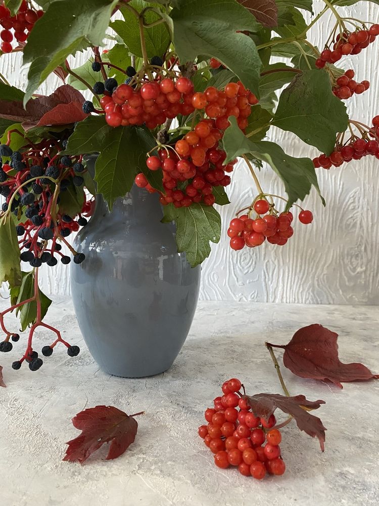 Photograph by Марина