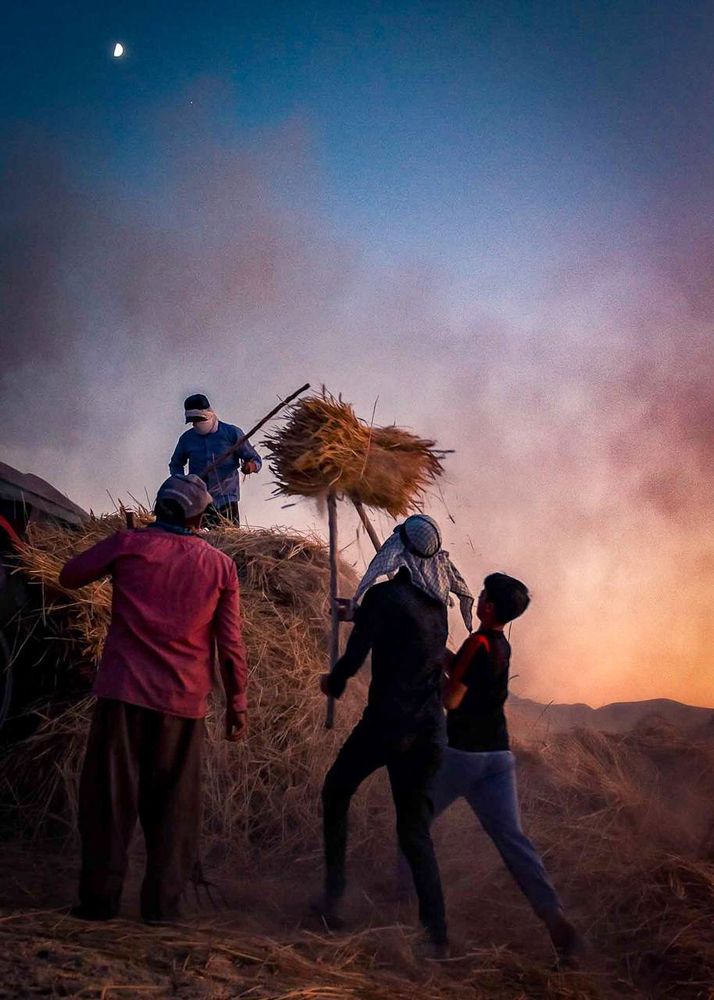 Фотография автора Mojtaba Gitinezhad