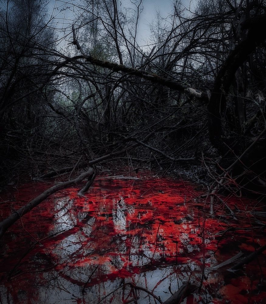 Photograph by Сергей Никифоров