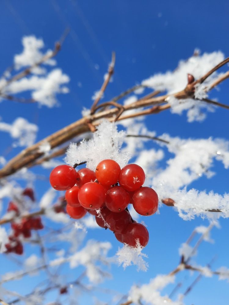 Photograph by Елена Симонова