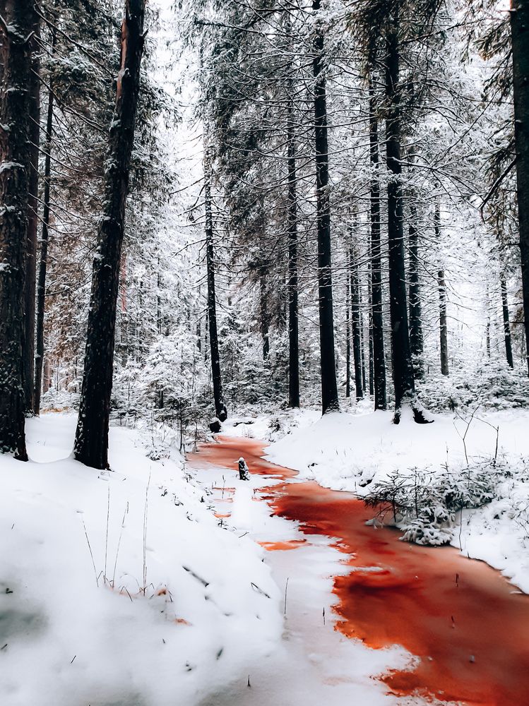 Photograph by Сергей Никифоров