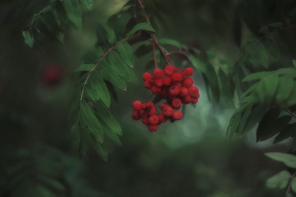 Photograph by Щербакова Юлия