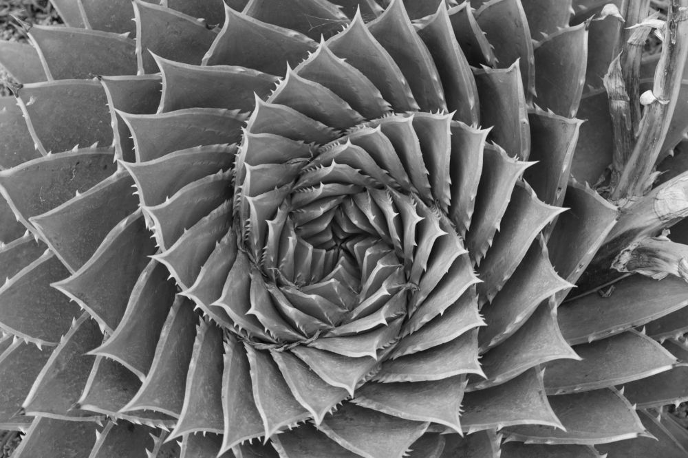 Photograph by Natalia Foster