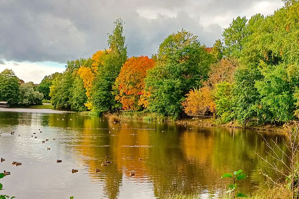 Photograph by Olga Smirnova