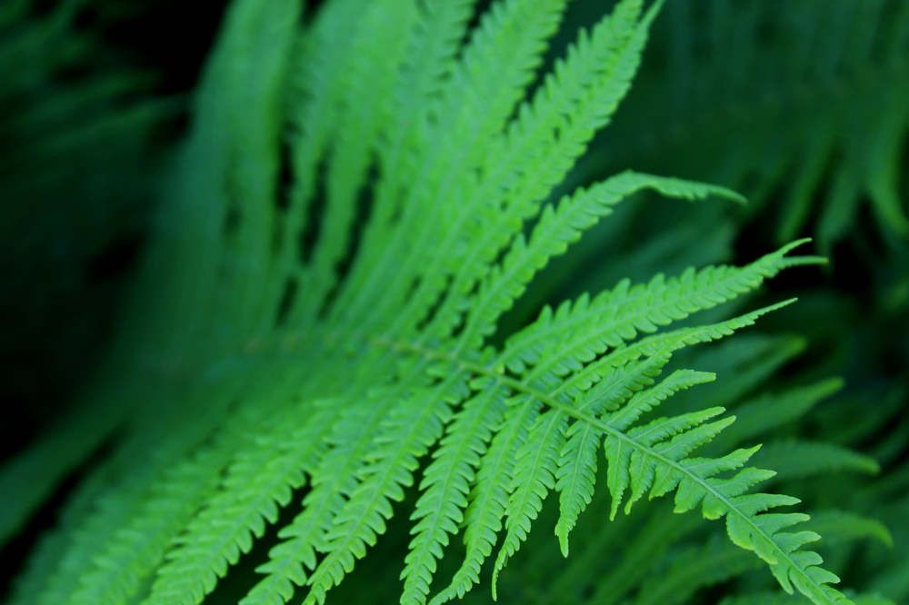 Photograph by Ольга Антанавичене