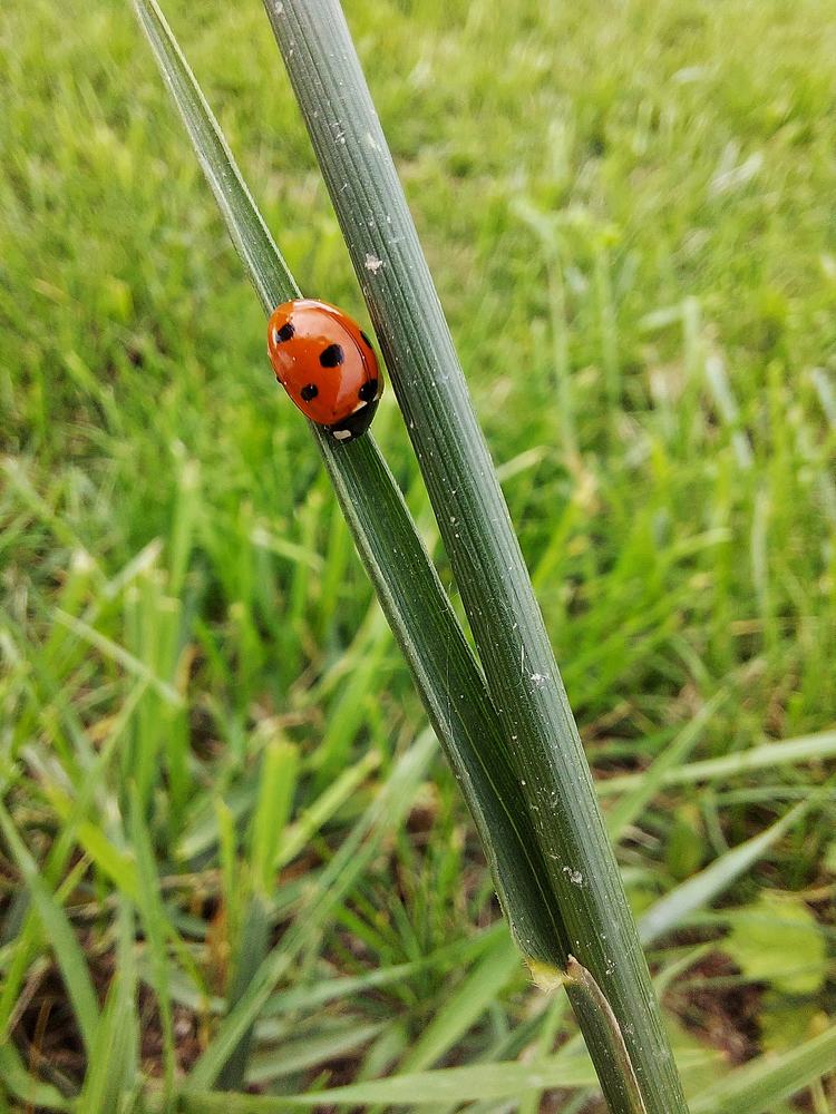Photograph by Ольга Антанавичене