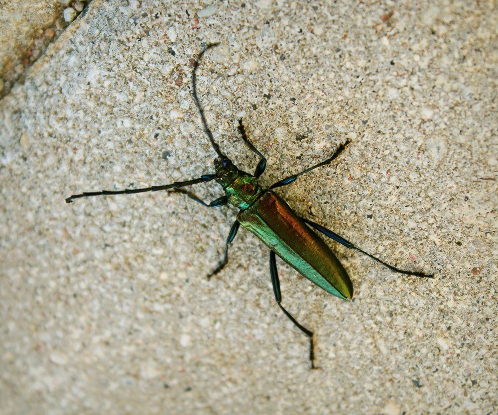 Photograph by Ольга Антанавичене