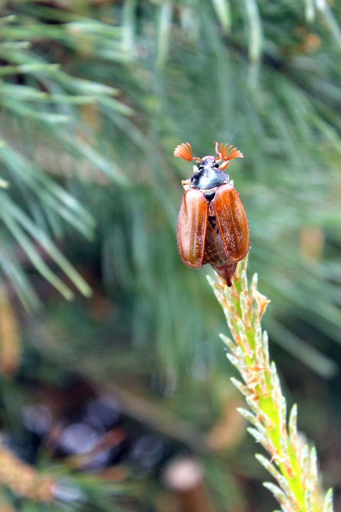 Photograph by Ольга Антанавичене