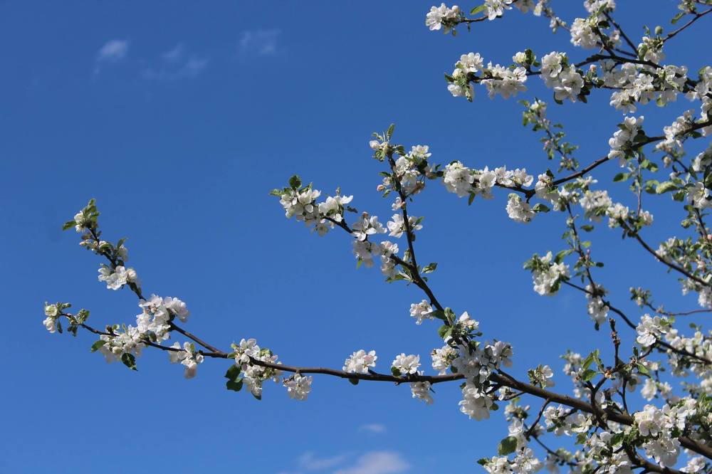 Photograph by Ольга Антанавичене