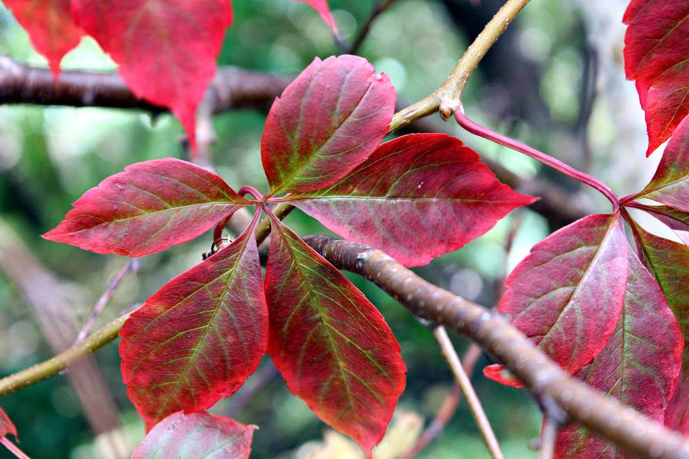 Photograph by Ольга Антанавичене