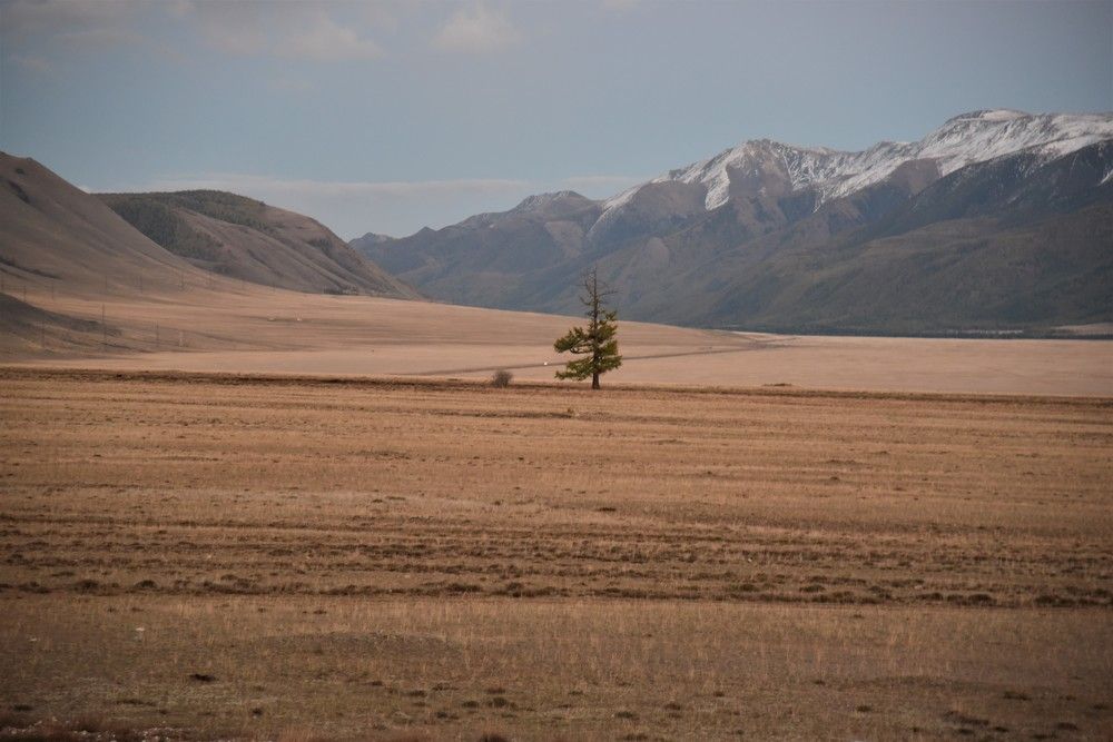 Photograph by Ольга Струкалина