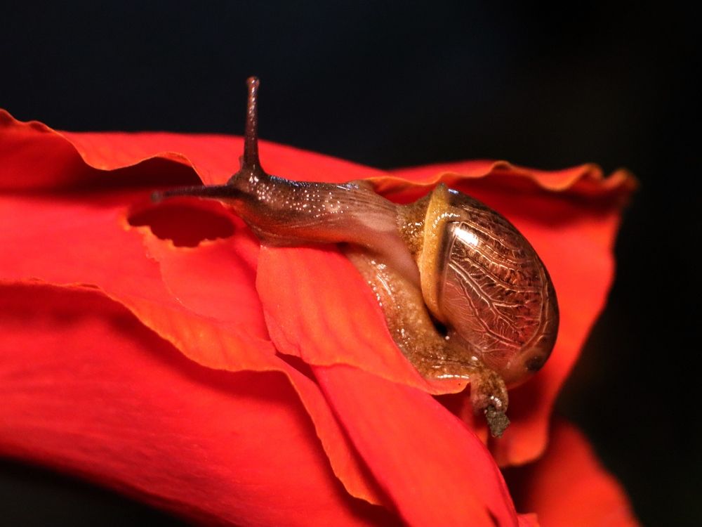 Photograph by Ekra Tasfia