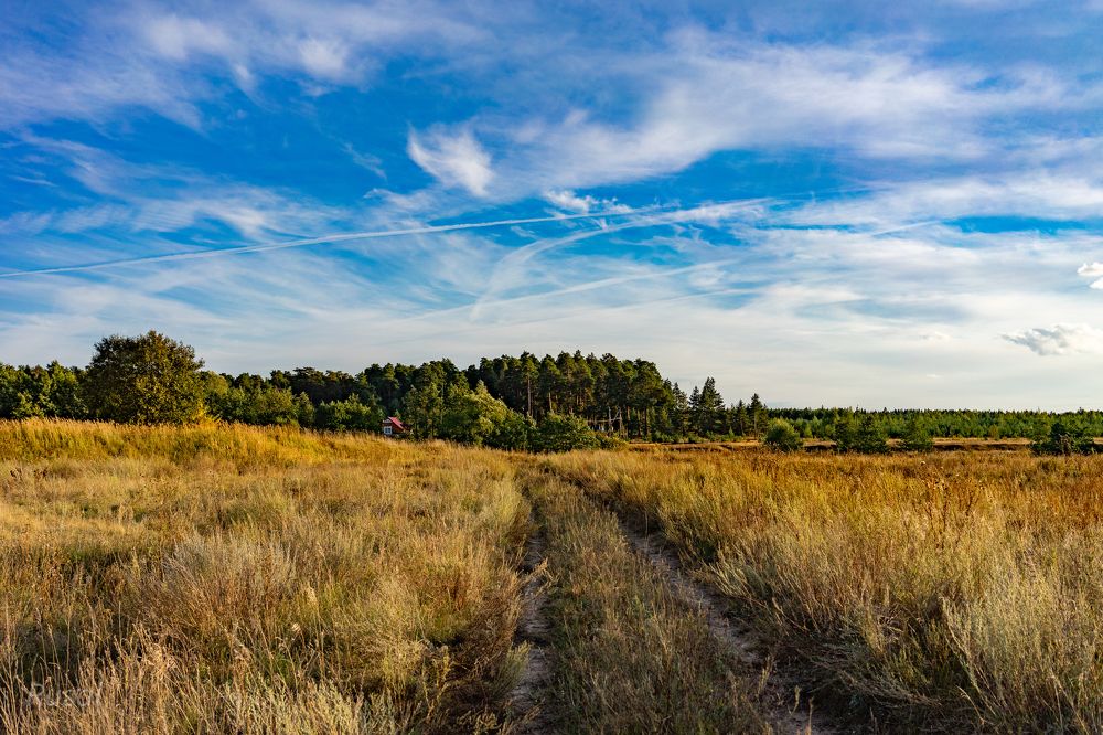 Photograph by Рустам Альмяшев