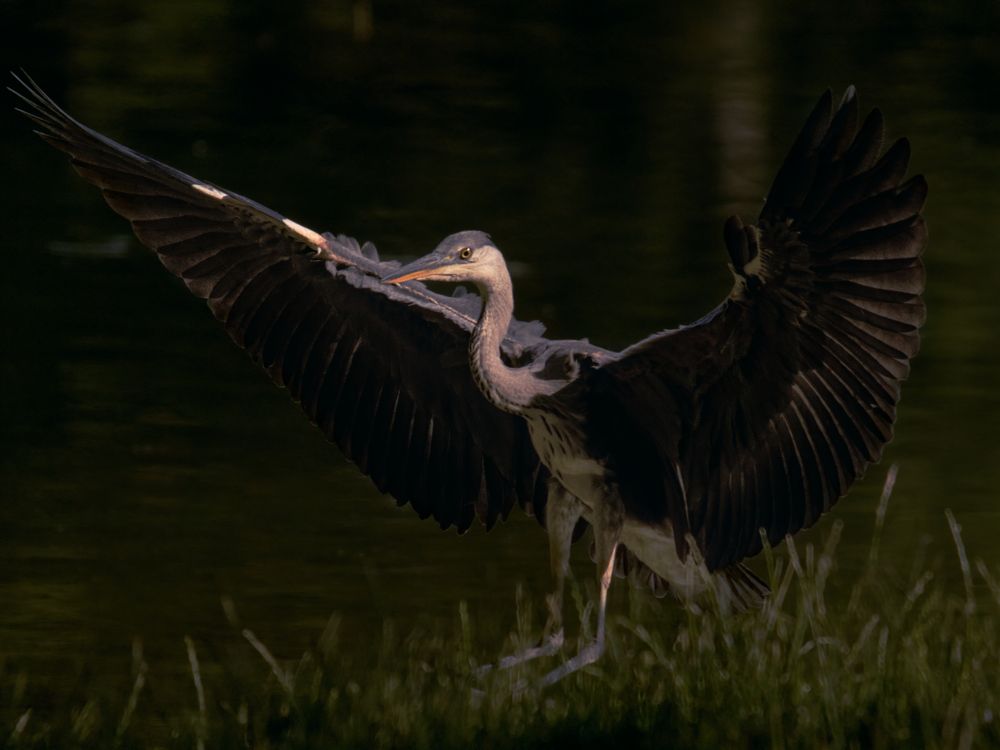 Photograph by Marko Stoickov