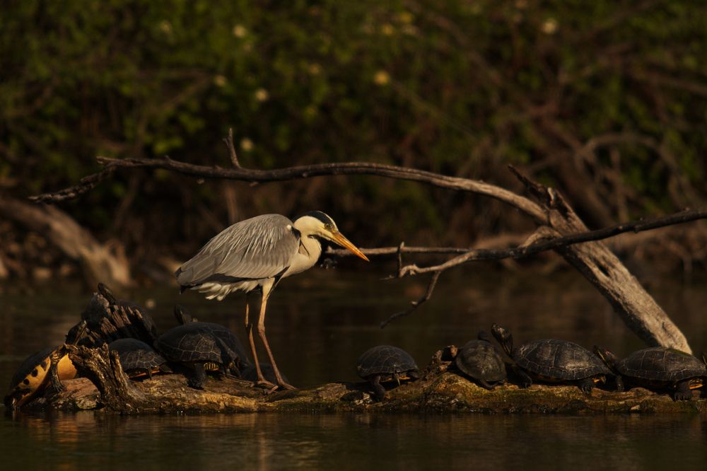 Photograph by Marko Stoickov