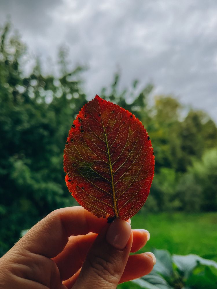 Photograph by Maria Kurakhtanova