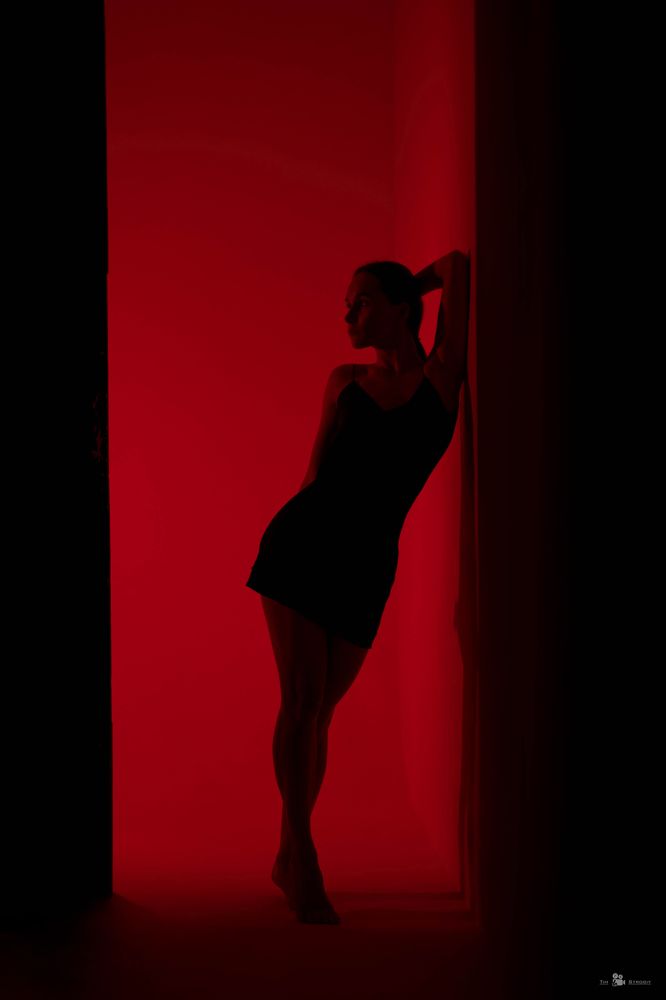 Фотография автора Тимофей Строгий