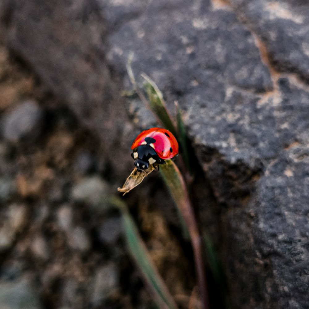 Фотография автора Mohammad Mohseni