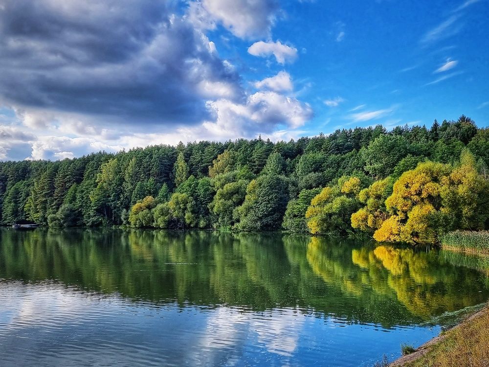 Фотография автора Дана Богинская