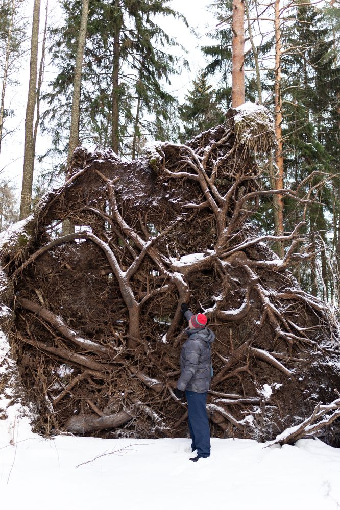 После урагана